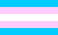 Monica Helms transgendered flag
